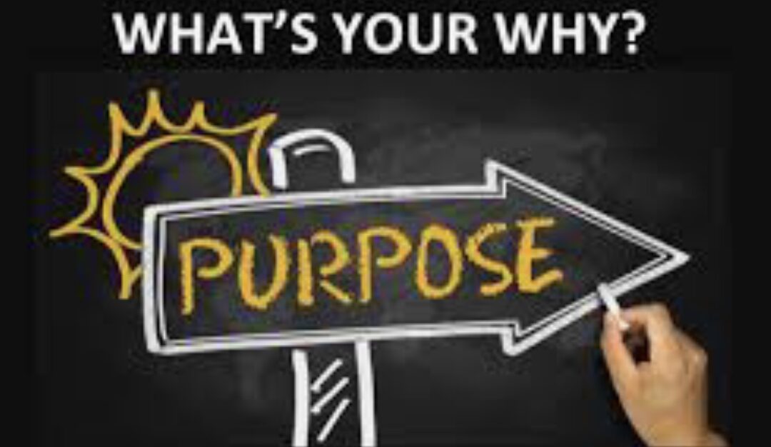 MEANING + PURPOSE = YOUR WHY